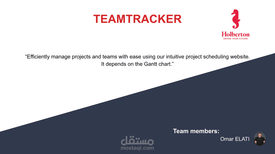TeamTracker – منصة لتتبع أداء الفرق وتوزيع المهام بكفاءة | مستقل