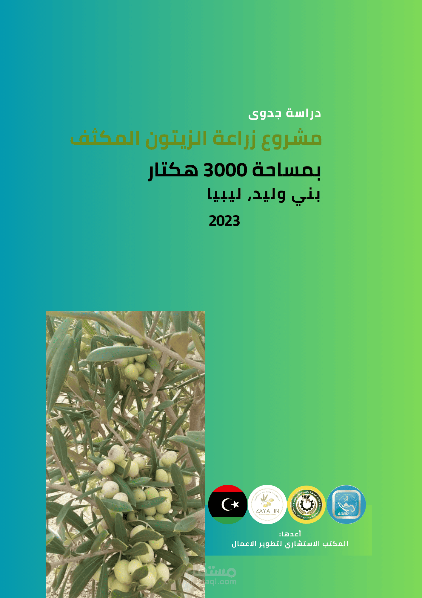 دراسات جدوى مشروعات زراعية | مستقل