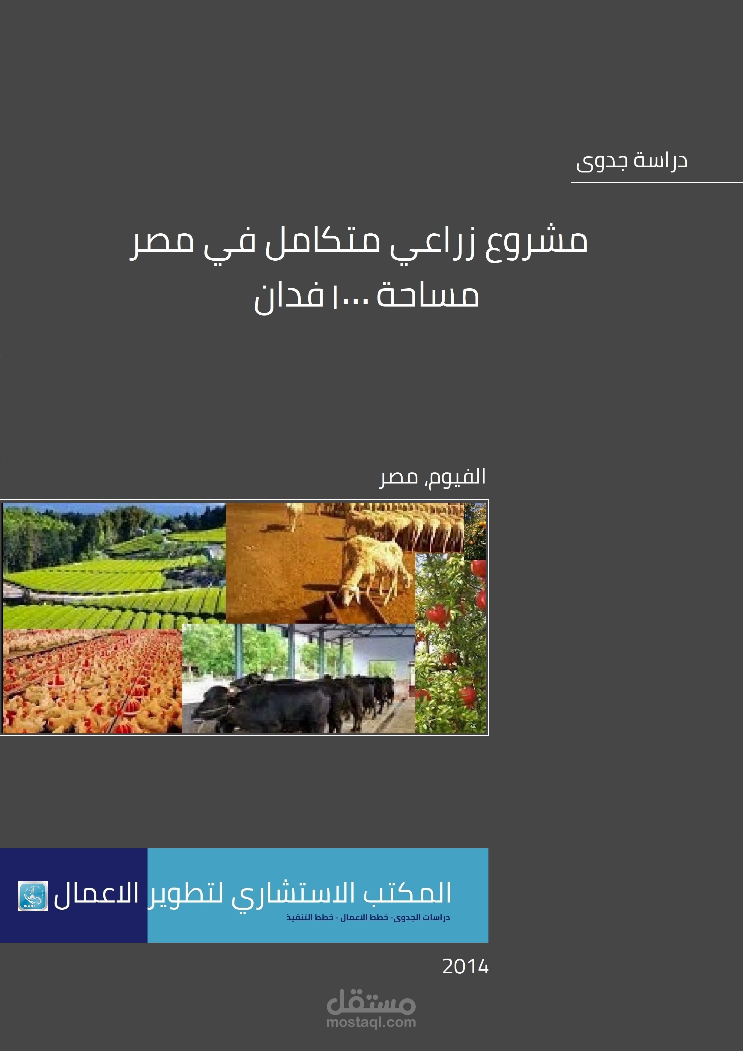 دراسات جدوى مشروعات زراعية | مستقل