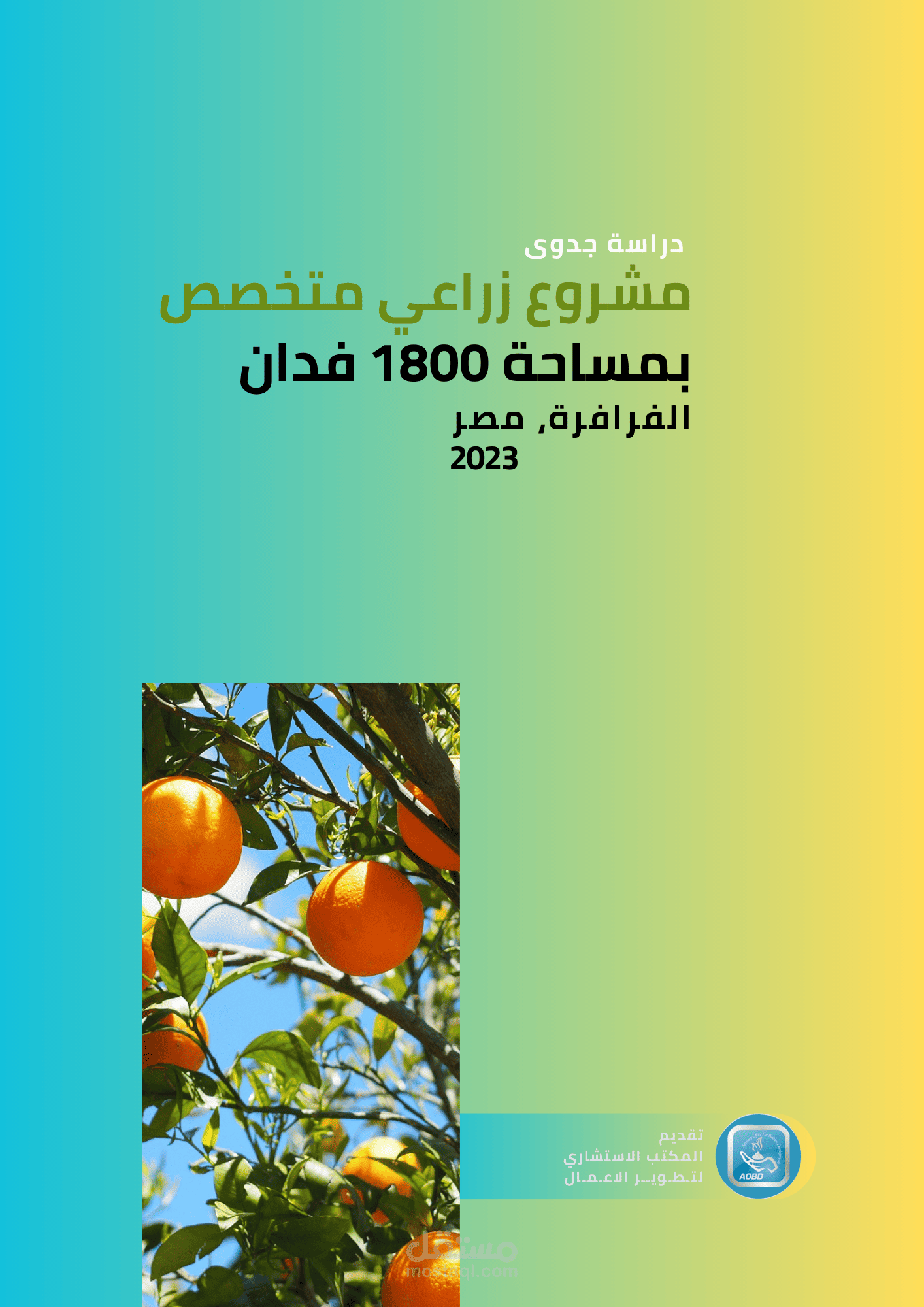 دراسات جدوى مشروعات زراعية | مستقل
