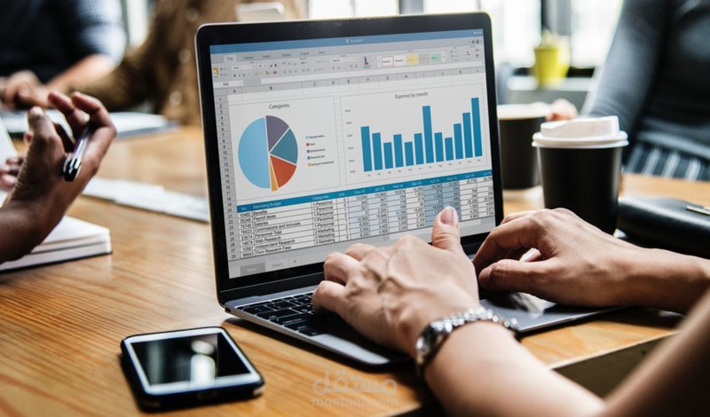 إدخال البيانات وتنظيمها من خلال برنامج الأكسل