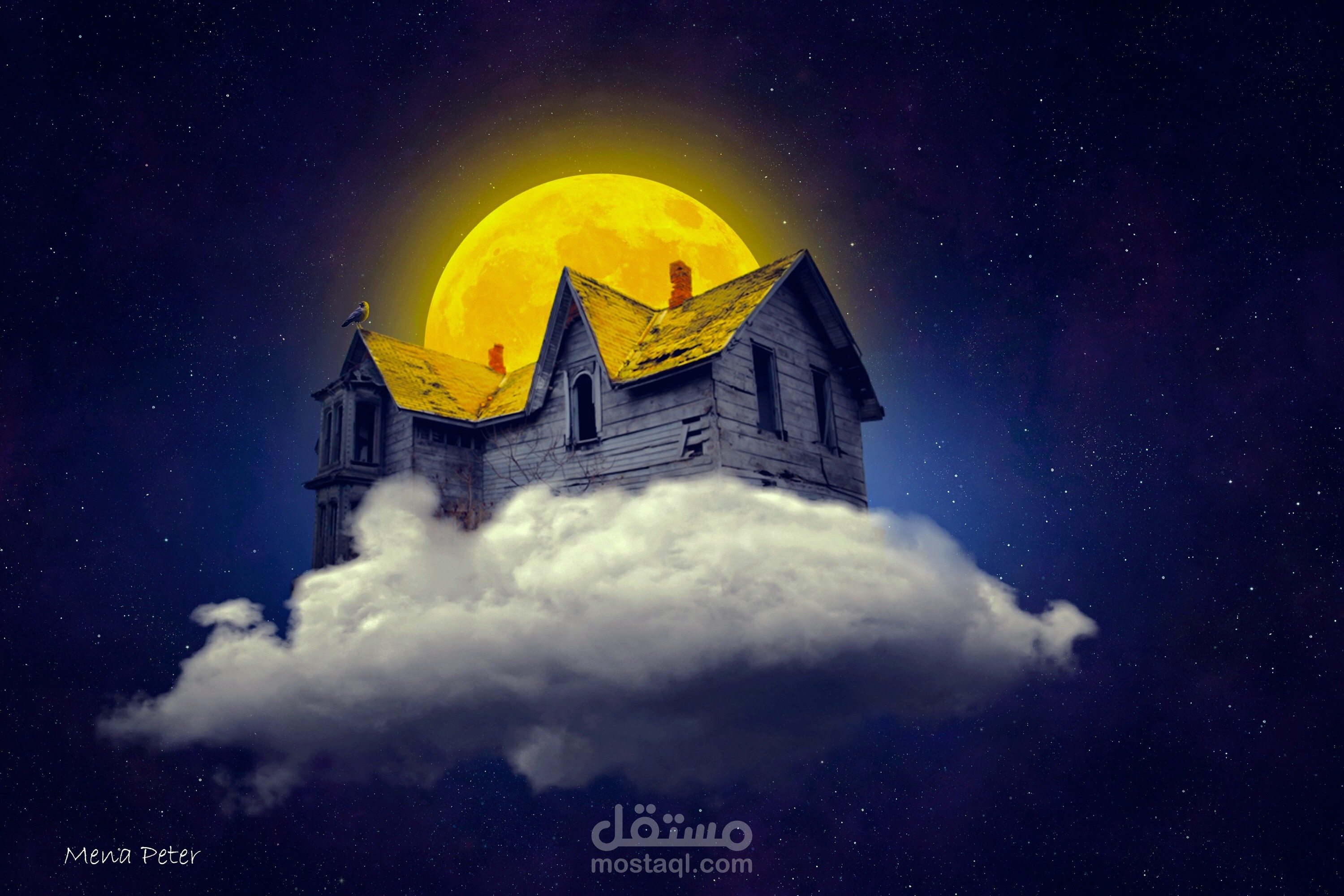 Flying house design