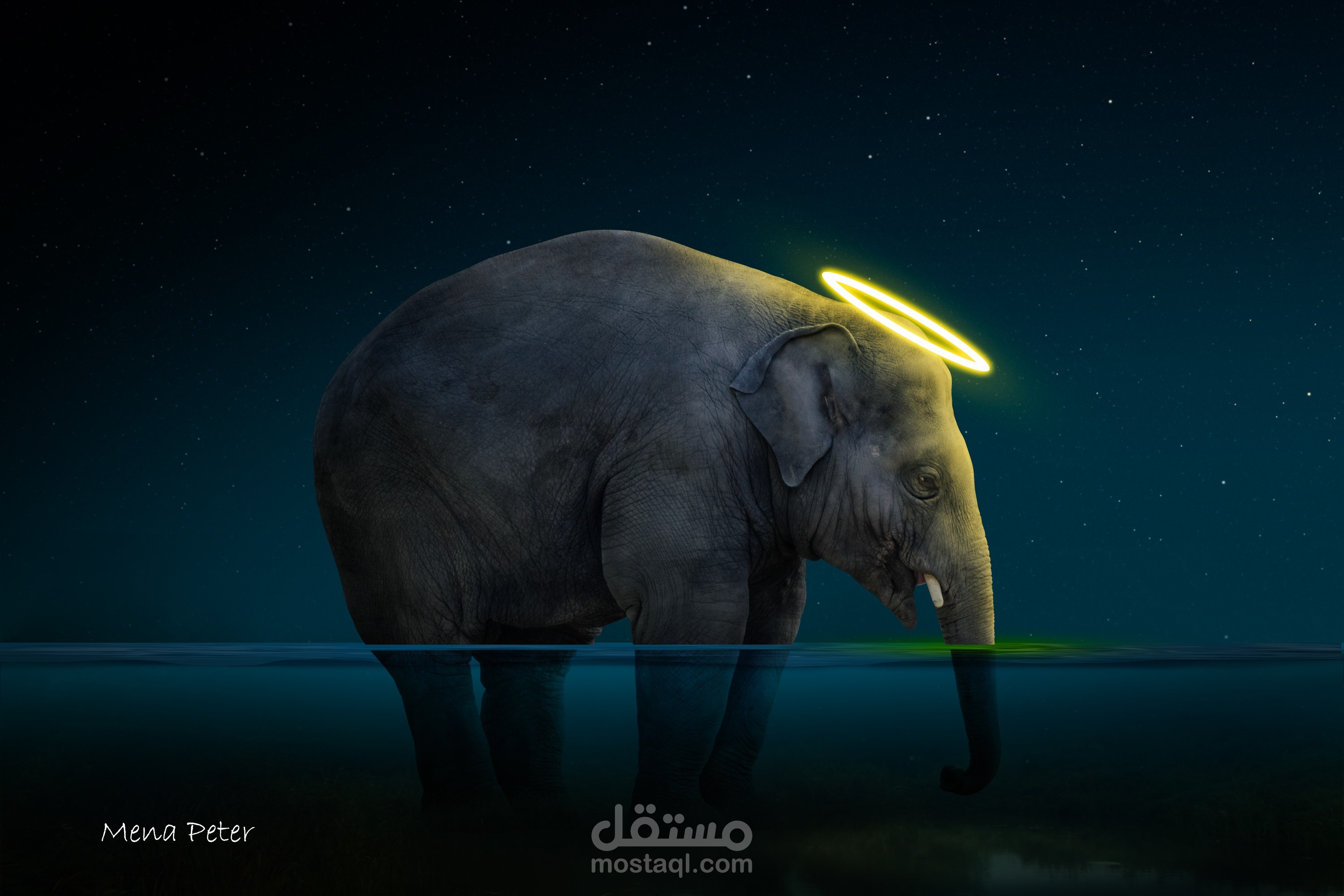 Sad elephant design
