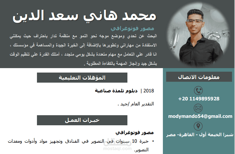 سيرة ذاتية احترافية