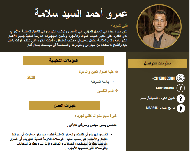 سيرة ذاتية تقليدية (CV)