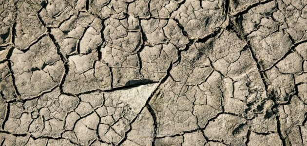 Earth's crust components