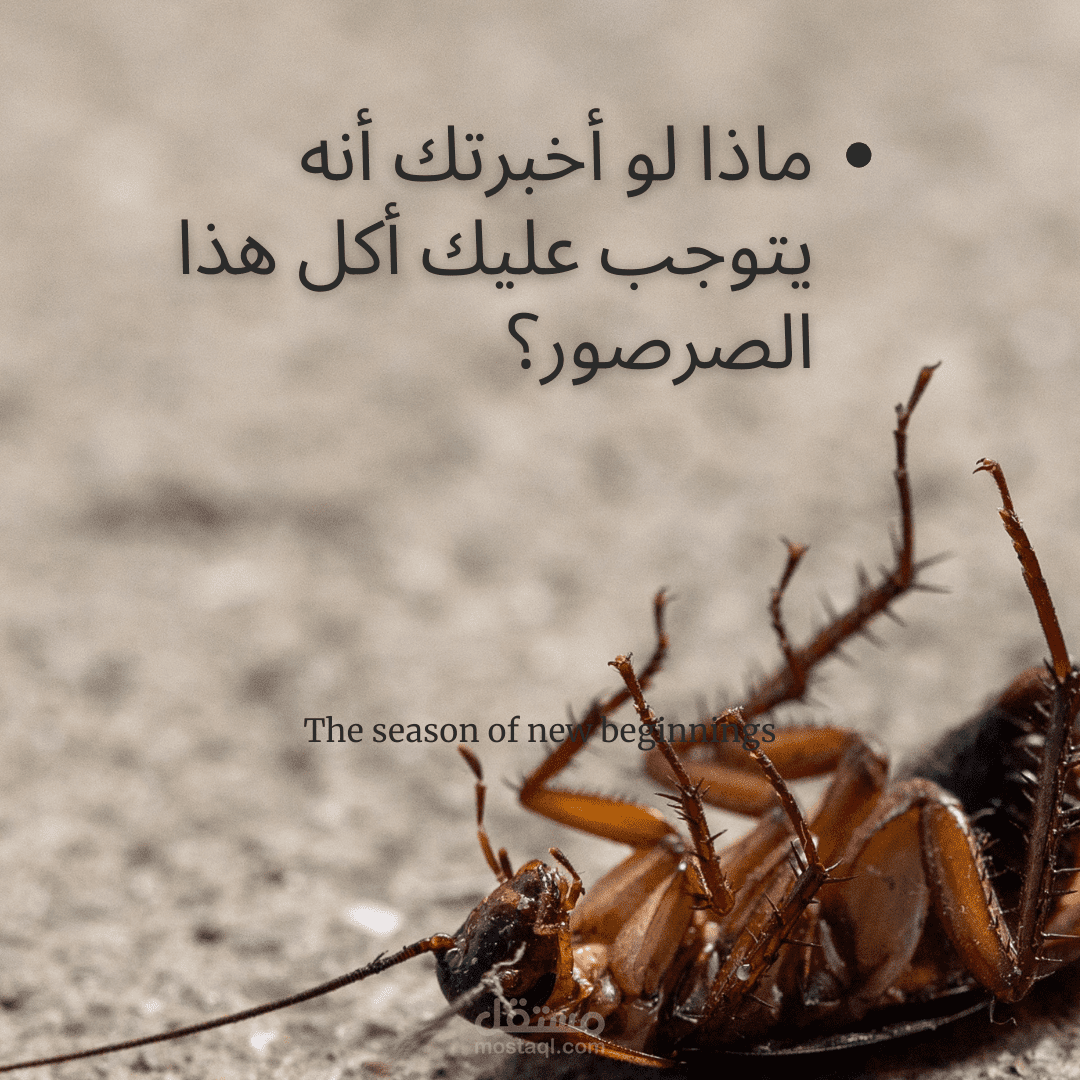 تصاميم تسويقية ذات محتوى مفهوم وواضح