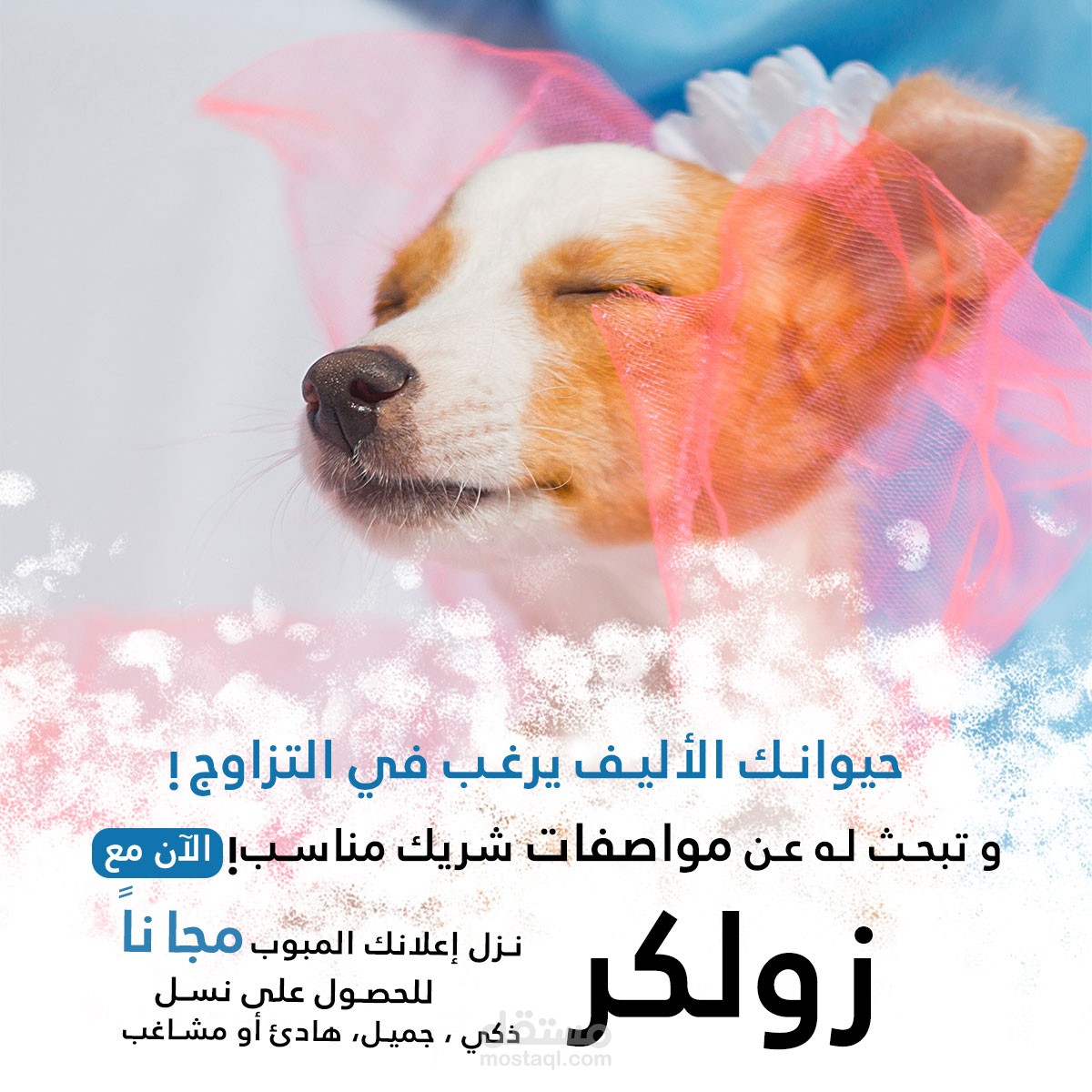 بنرات لمتجر حيوانات أليفة