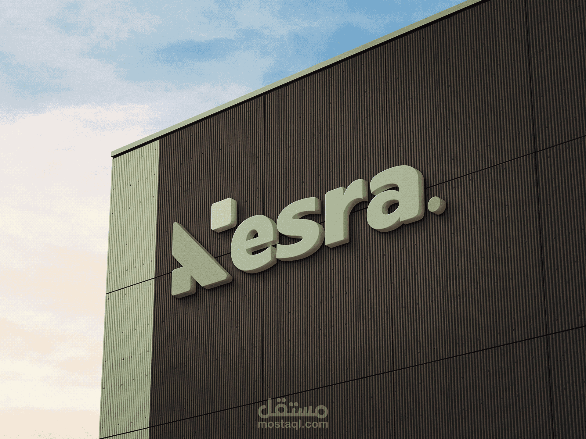 LOGO | Nesra - Solution