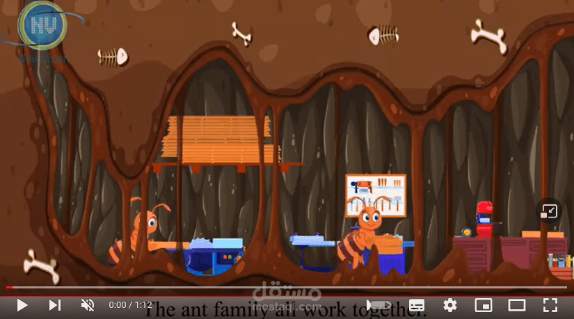 تصميم فيديو موشن جرافيك تعليمي