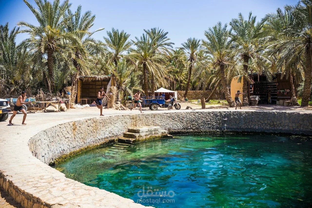 Review  عن واحة سيوة في مصر