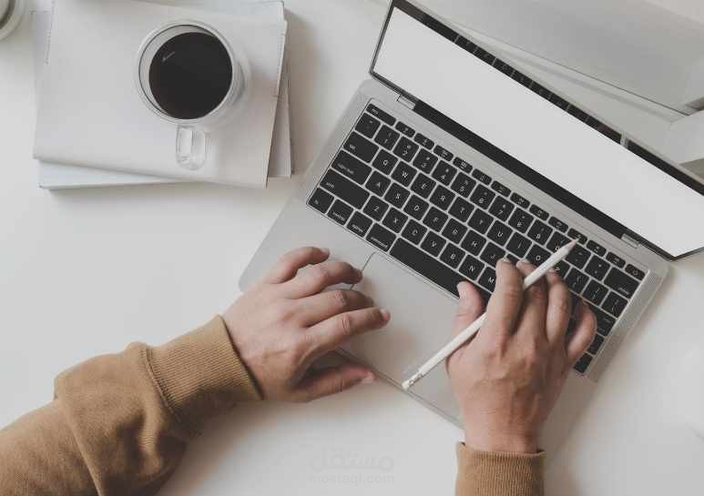 السيرة الذاتية