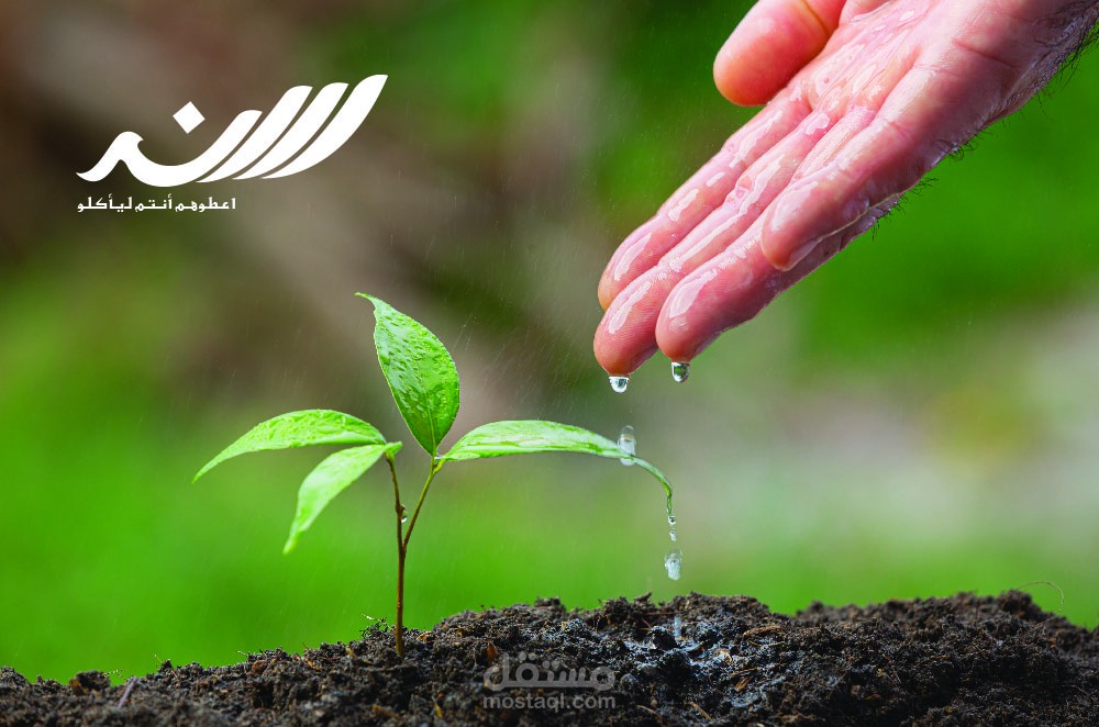 شعار تايبوغرافي احترافي