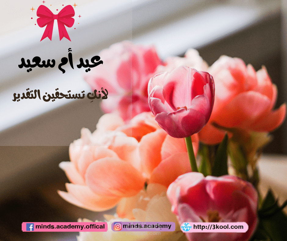 كتابة محتوي و تصميم صورة لاحد البوستات علي الفيس بوك