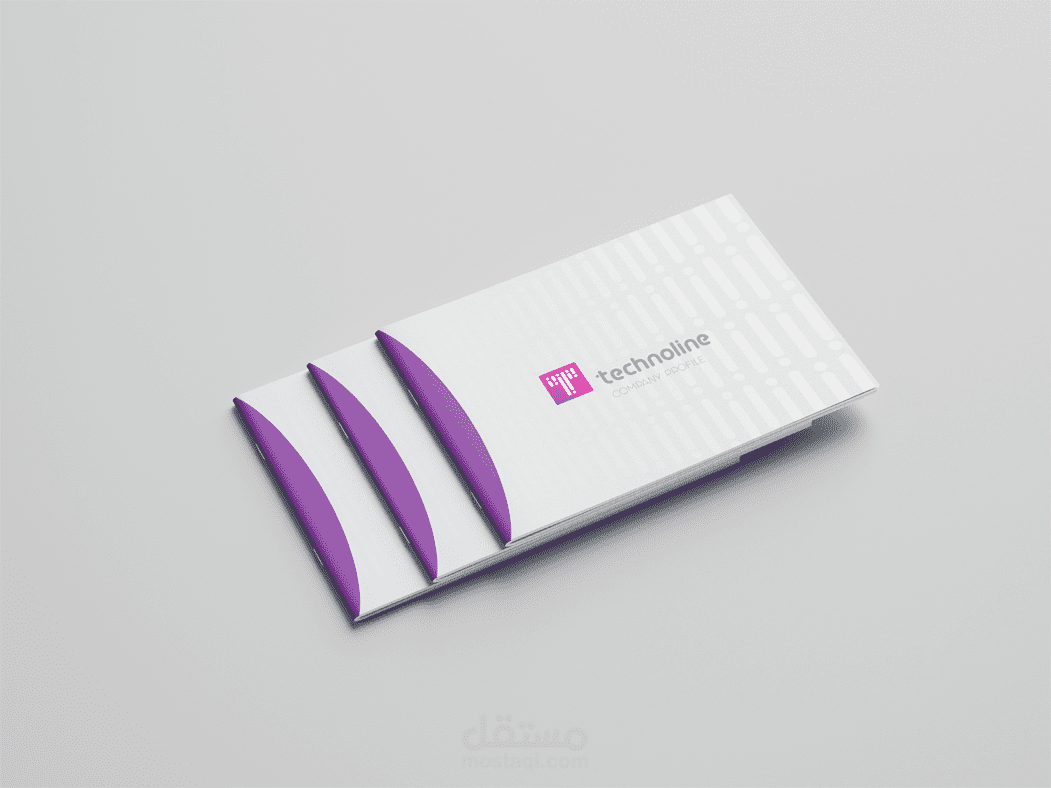 company profile (technoline Erbil)