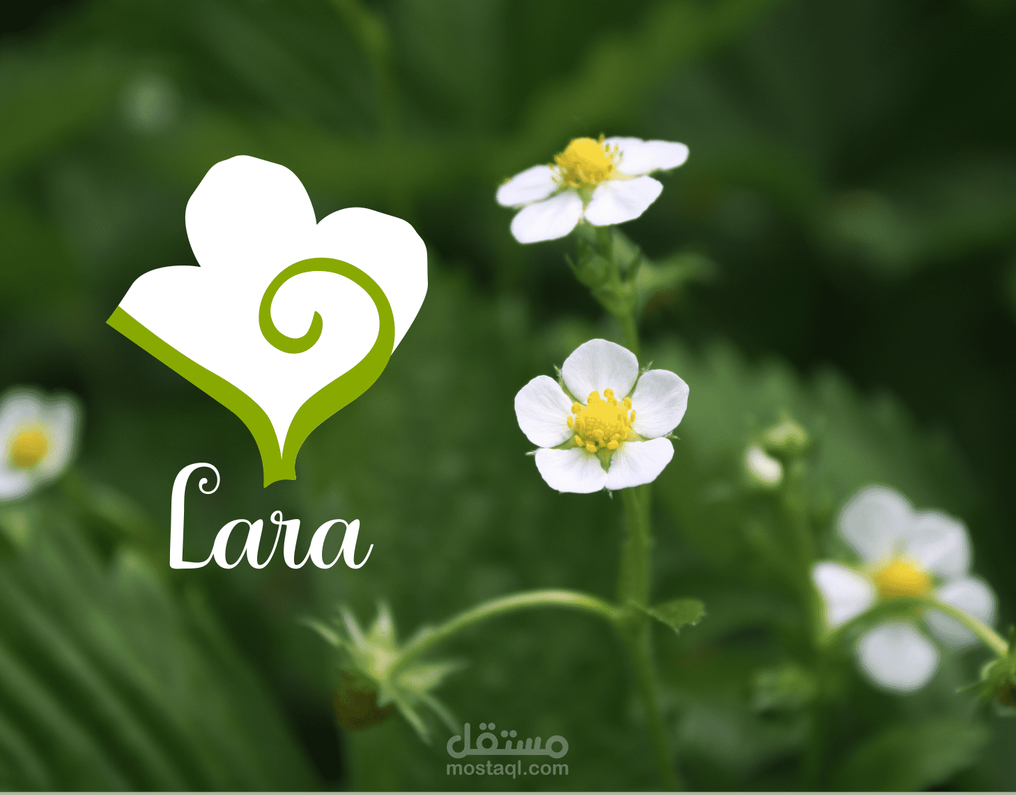 شعار لمشروع مربى