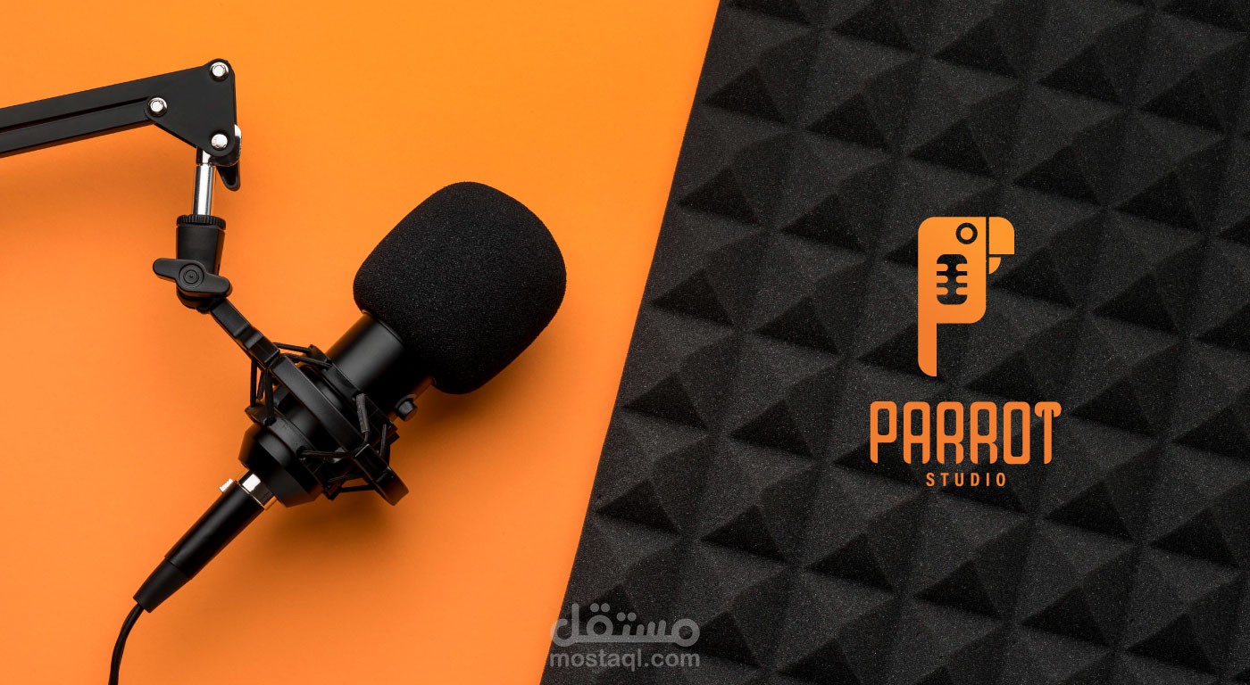 تصميم هوية بصرية لشركة صوتيات