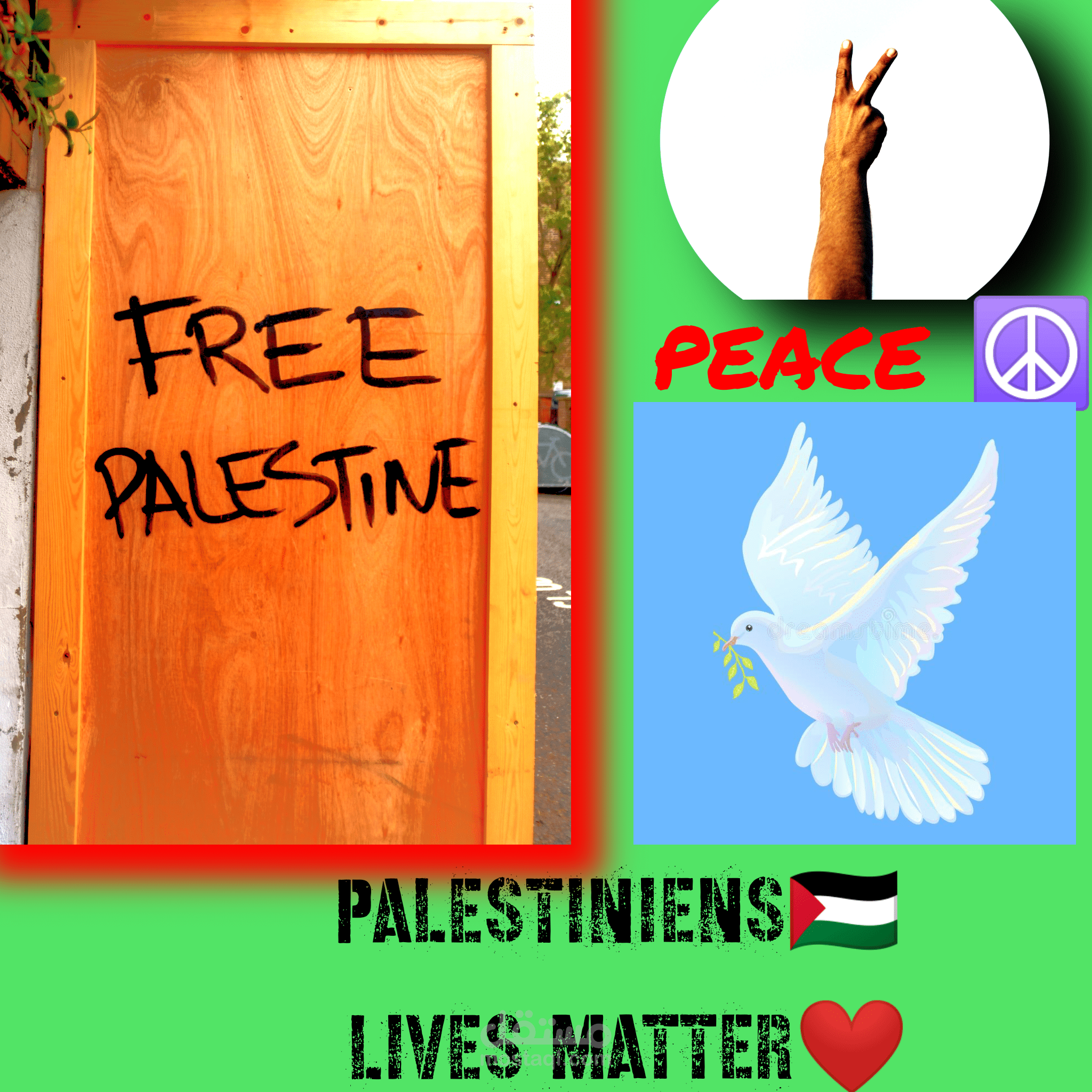 دعم قضية فلسطينية