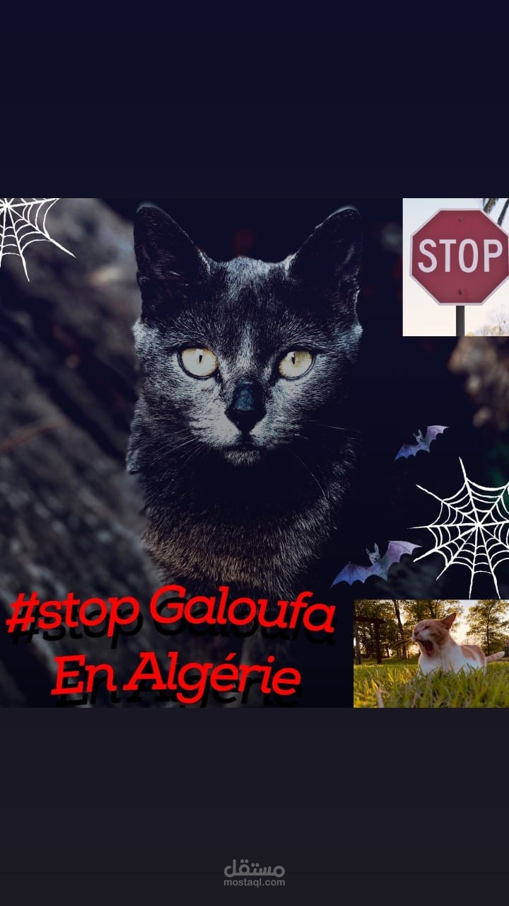 Stop galoufa en Algérie