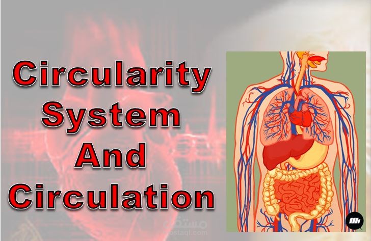 Circulatory System(PowerPoint