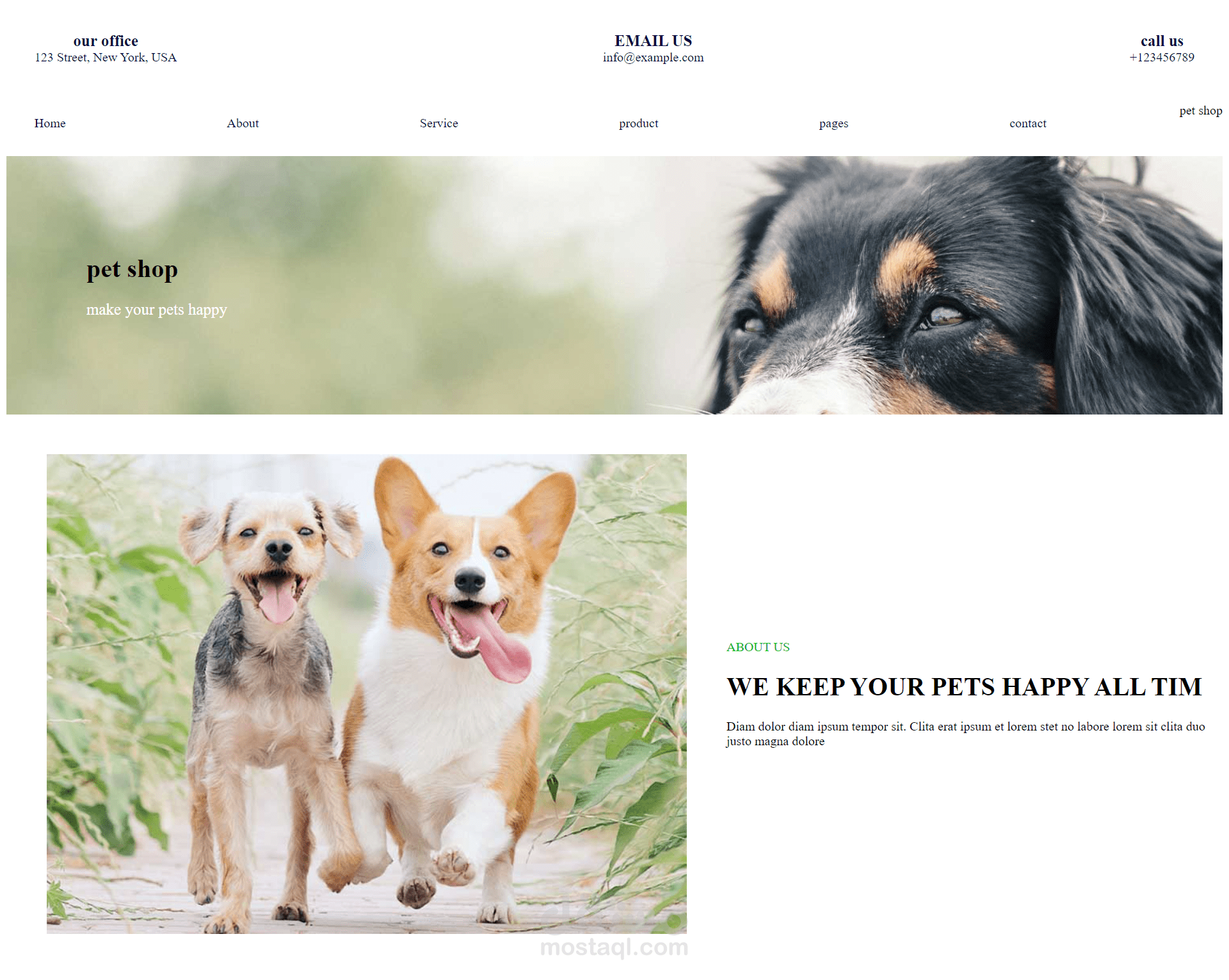 موقع لمنظمة  لراعية الكلاب