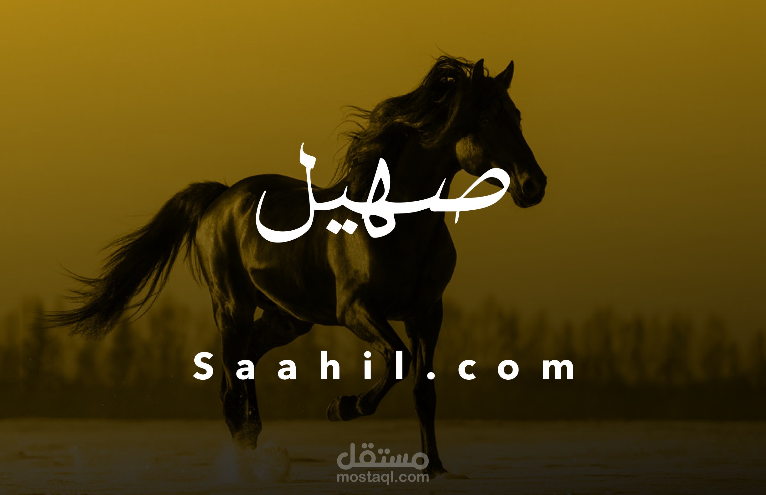 شعار لشركة وهمية