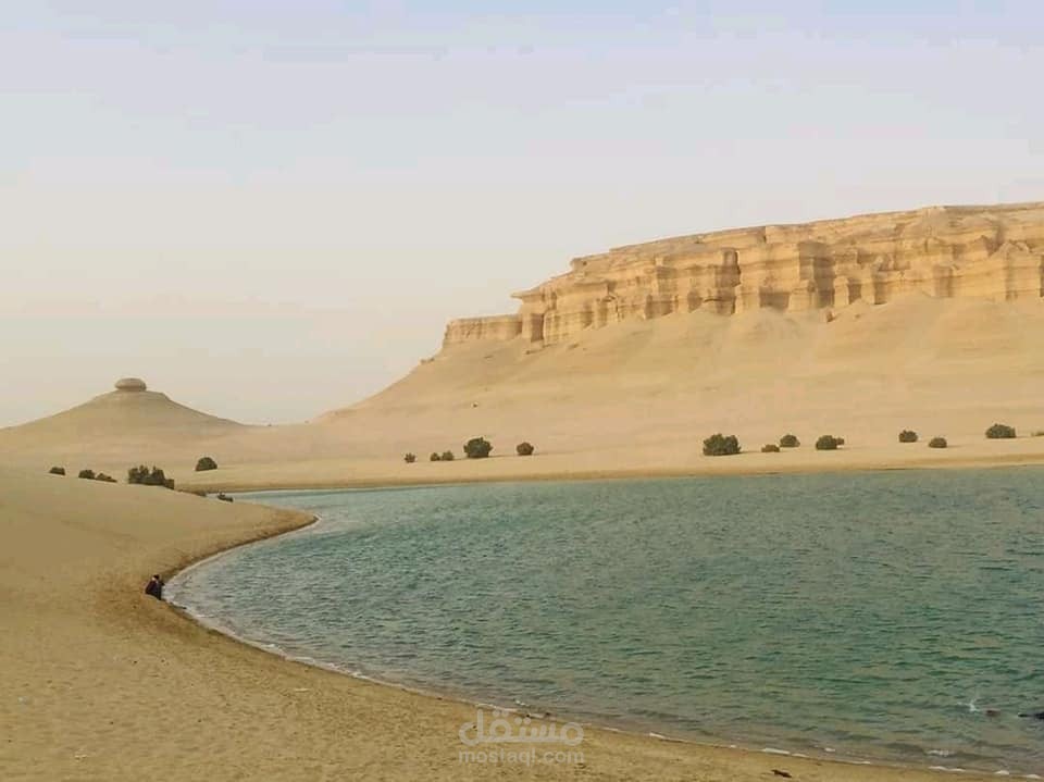 مشروع تخرج كلية سياحة وفنادق عام 2019