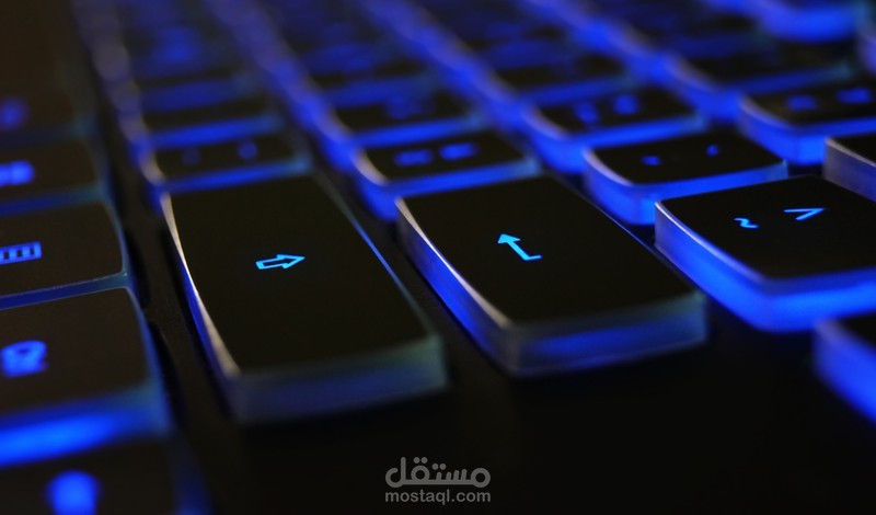 إدخال البيانات وتفريغ الملفات لـ Word -اكسل - PowerPoint