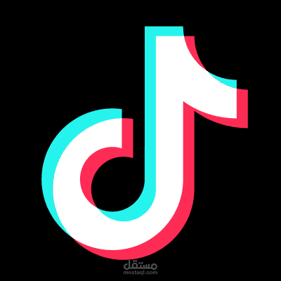 إدارة وتحسين حملات إعلانية على TikTok وMeta لمتجر إلكتروني