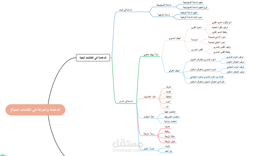 عمل خريطة ذهنية للمحتوى التعليمي
