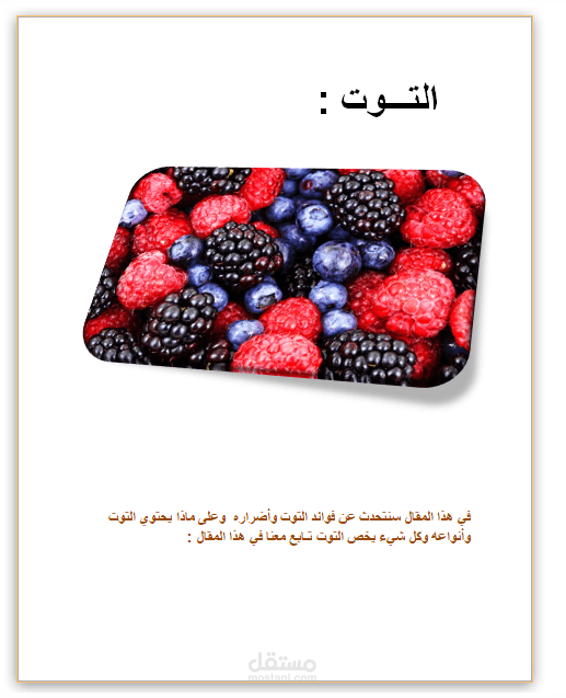 كتابة  مقالات