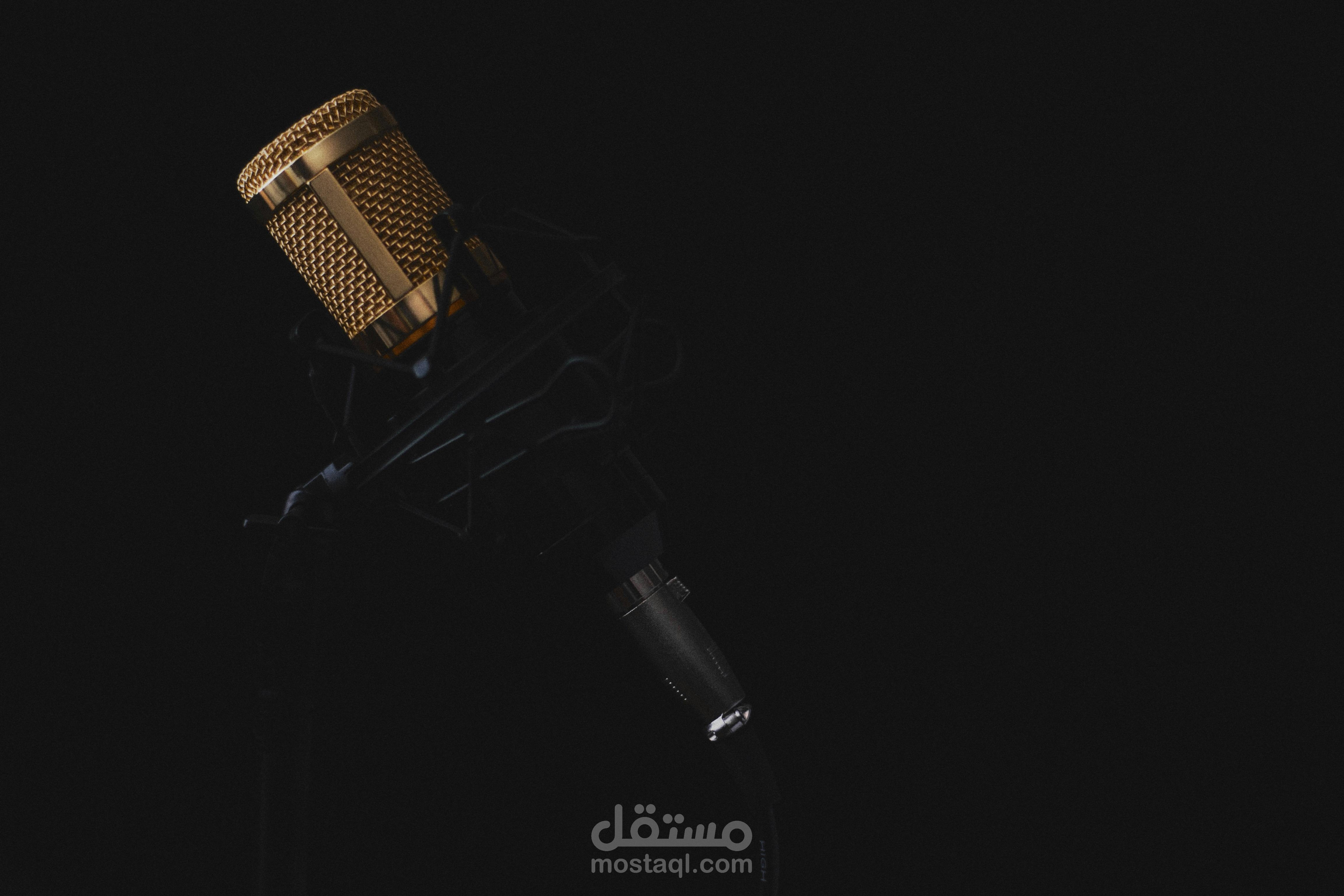 خامات صوتية تناسب عملك