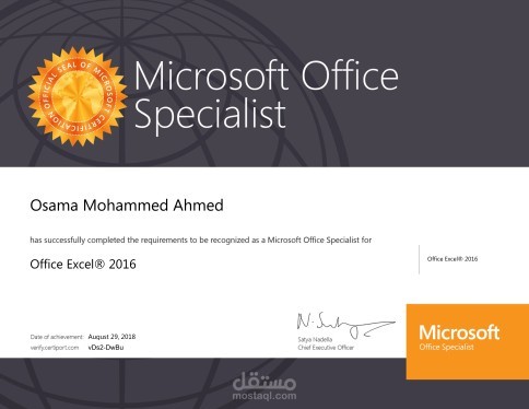 Microsoft Office Specialist - Excel