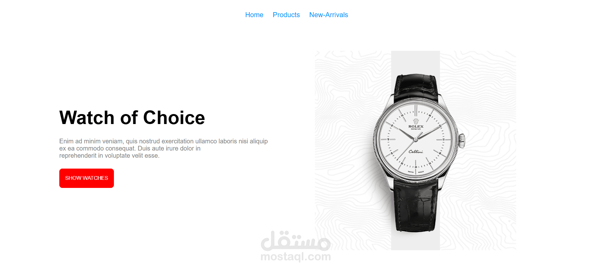 Watch Store