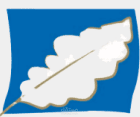 System International Fiber