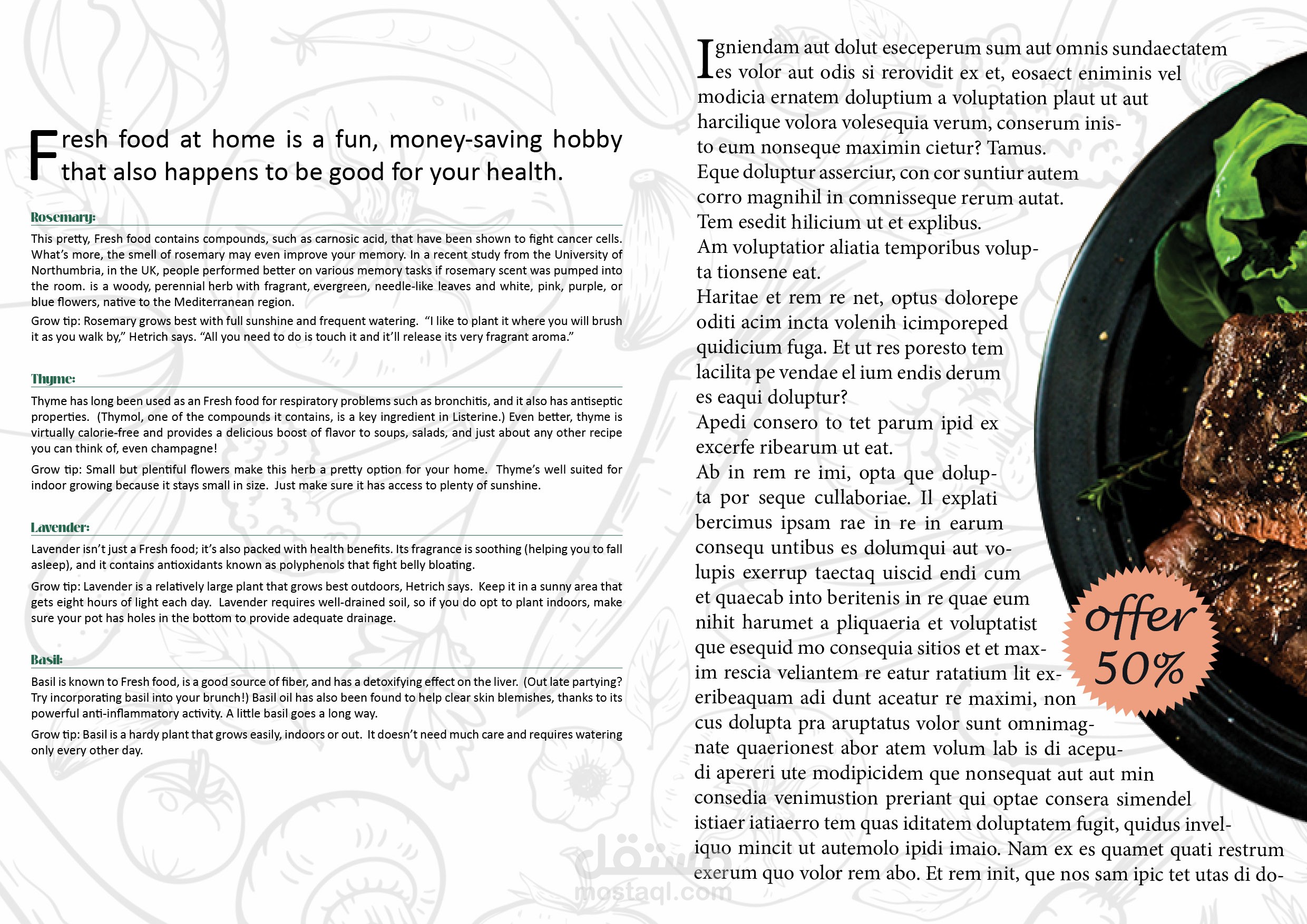 كتيب تعريف صغير