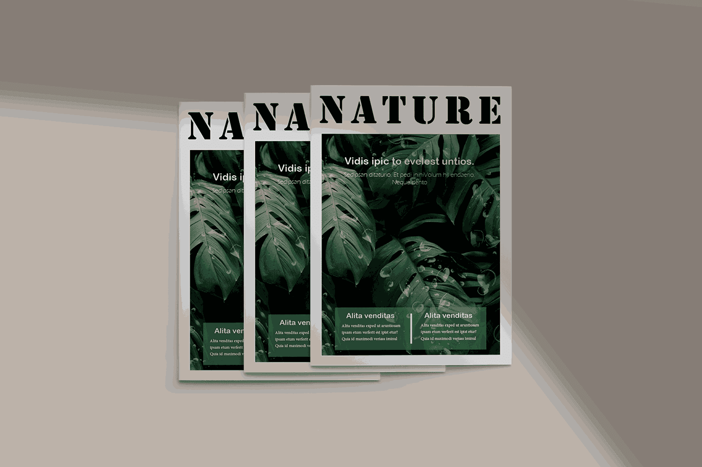 تصميم مجلة Magazine design