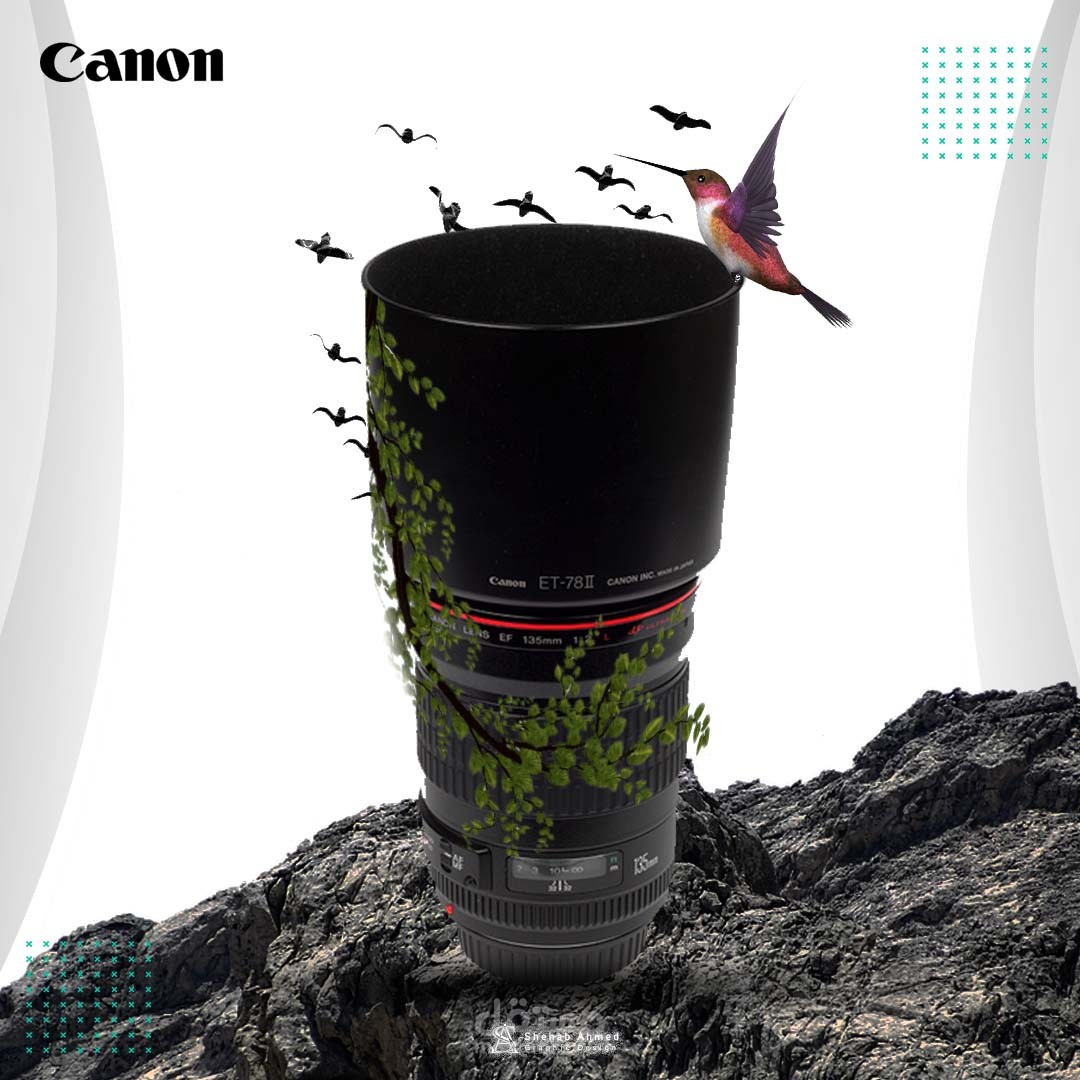 سوشيال ميديا