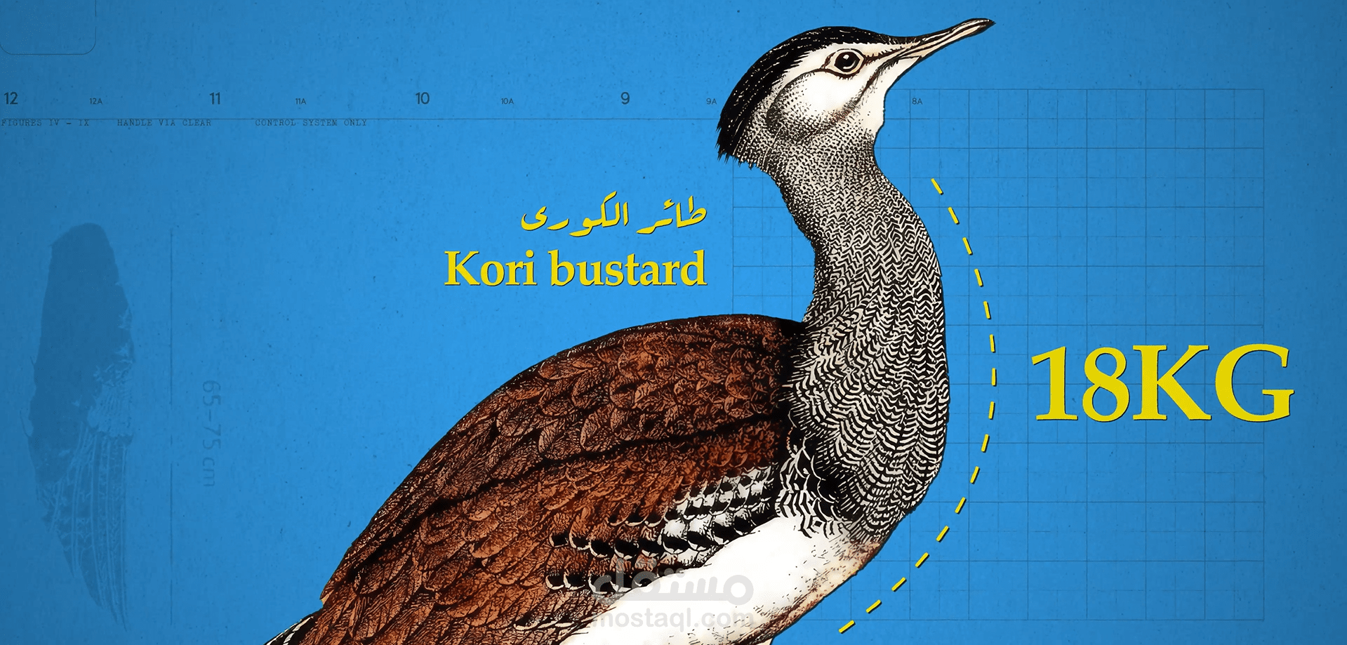 موشن جرافيك لوثائقي عن الطيران بأسلوب Collage