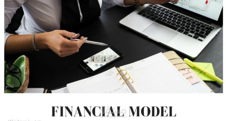 Financial Statements/Modelling