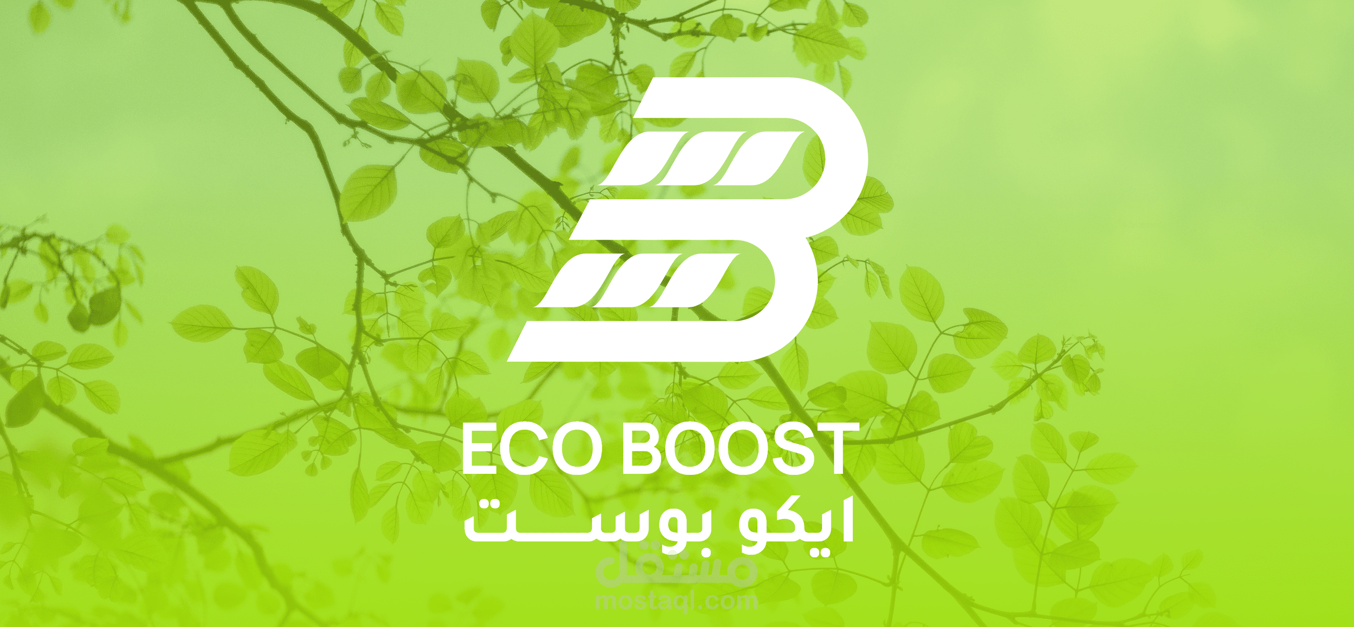 Eco Boost Branding Project