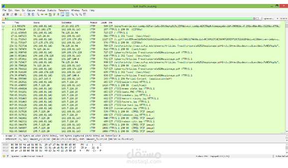 Wireshark in cyber security