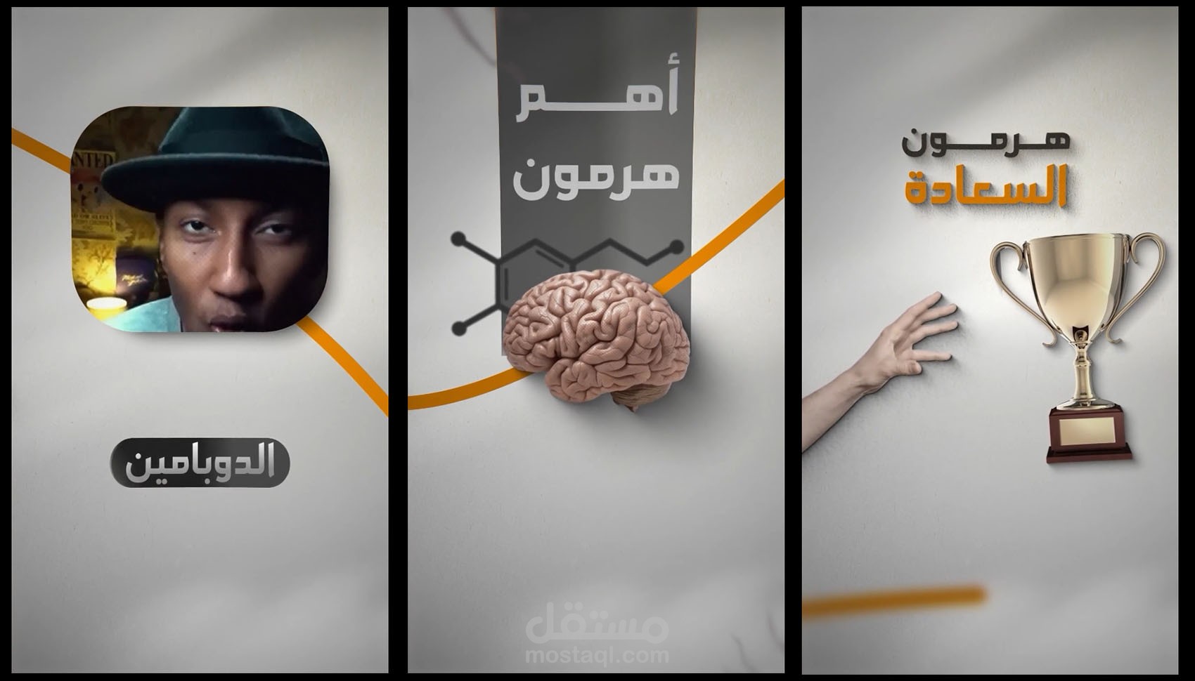 مونتاج ريلز