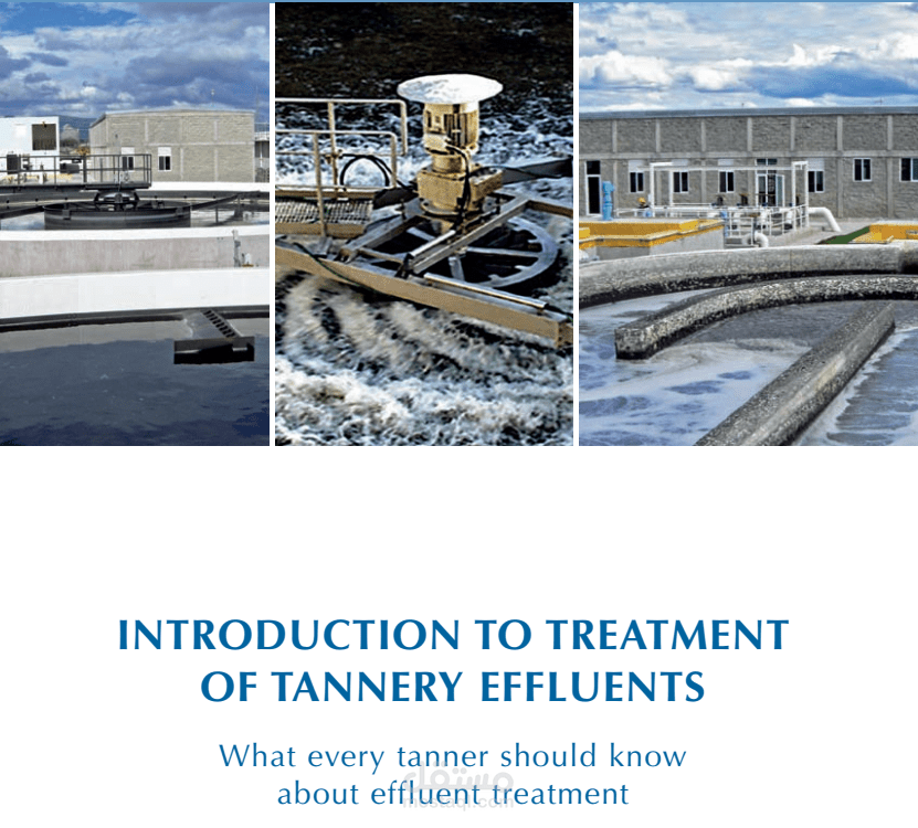 ترجمة كتاب كامل من اللغة الانكليزية إلى اللغة العربية مع الكتابة و التنسيق