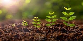 حلقة بحث عن الصرف في التربة الغضارية