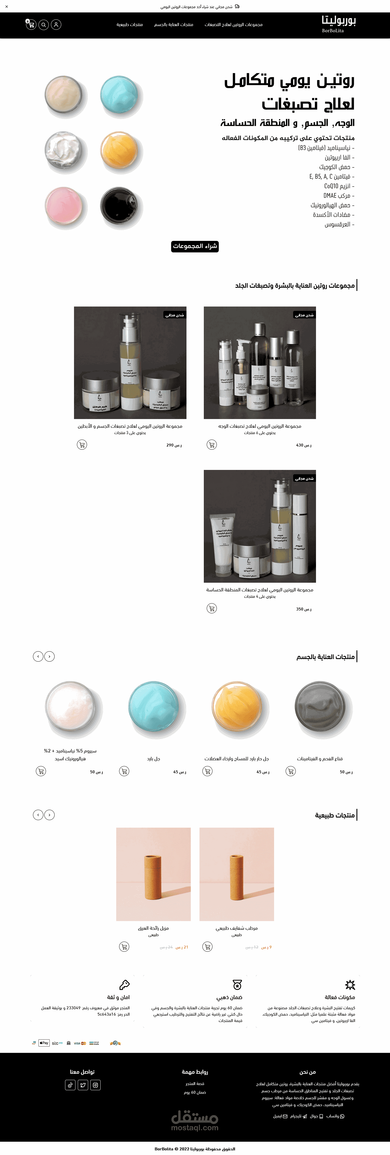 تعديل ثيم متجر ( بوربوليتا Borbolita ) على منصة سلة بإستخدام أكواد CSS مخصصة