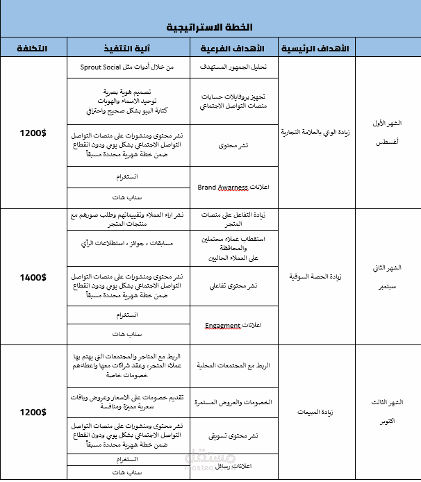 استراتيجية تسويقية