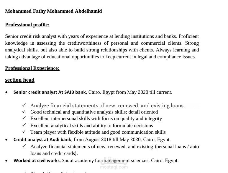 عمل سيرة ذاتية أحترافية