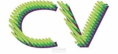 سيرة ذاتية ، CV