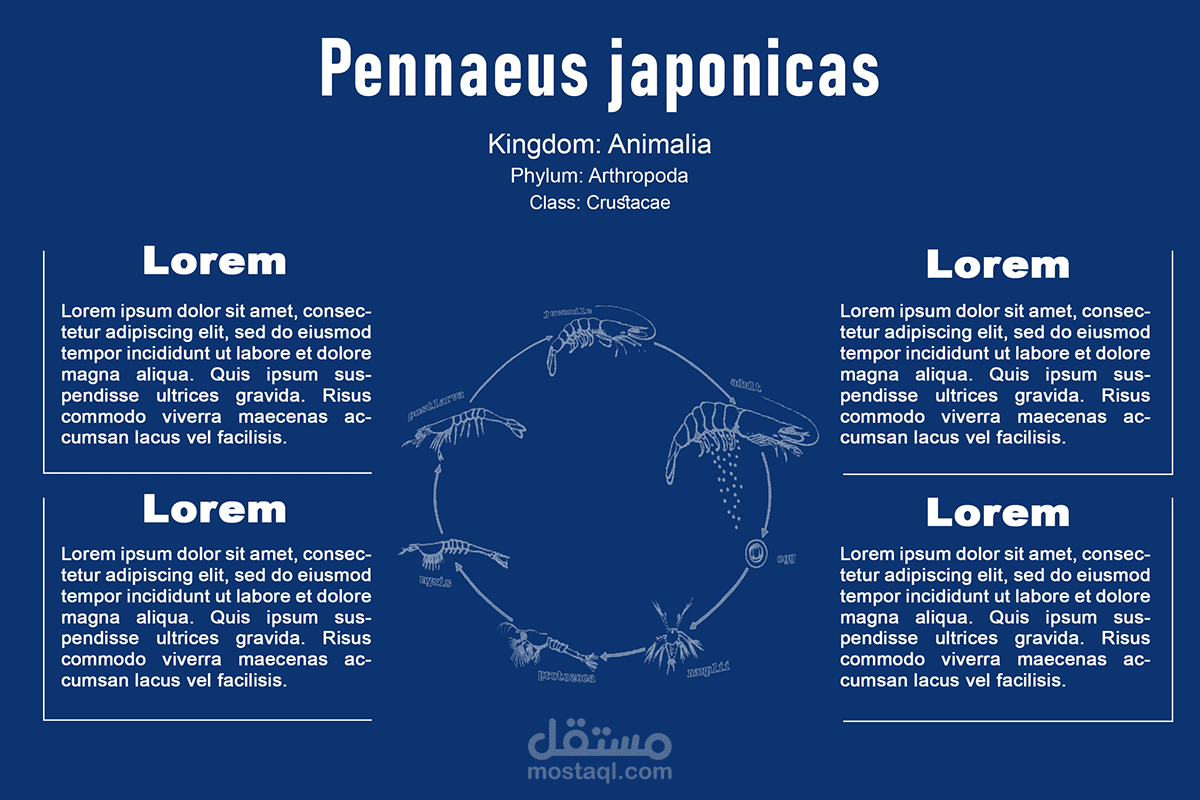 Infographic banner redesign